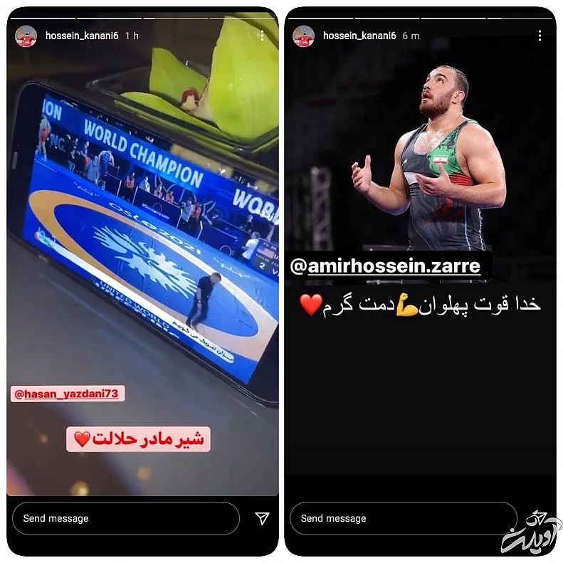 دو کشتی گیری که دل یک ملت را شاد کرد/ واکنشها مجازی به قهرمانیهای یزدانی - زارع